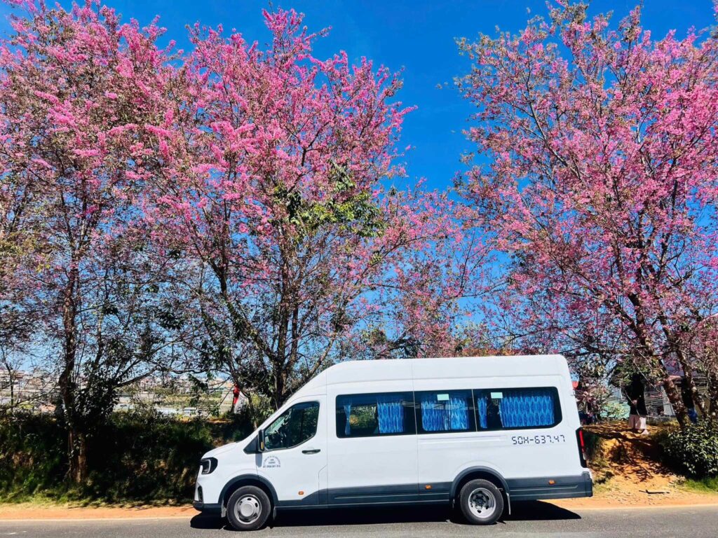 Thuê xe 18 chỗ có bảo hiểm tại thuexehuydat.com có Đa dạng sự lựa chọn